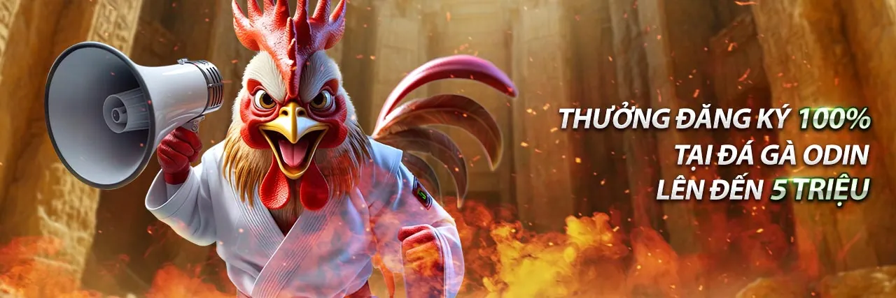 Chiến thuật cá cược thể thao BD 88