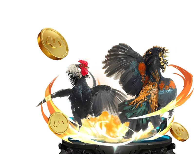 Hoàn trả casino bd 88